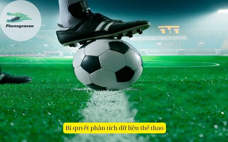 Bí quyết phân tích dữ liệu thể thao
