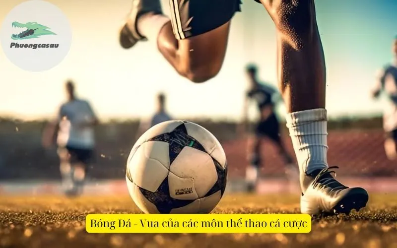 Bóng Đá - Vua của các môn thể thao cá cược