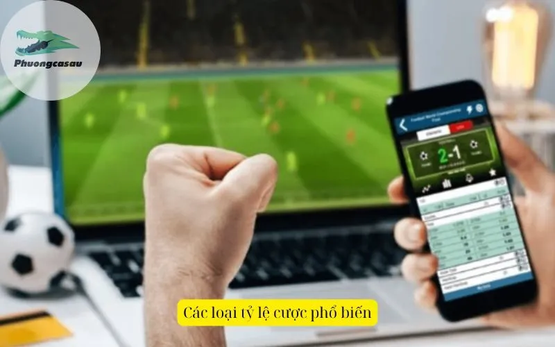 Các loại tỷ lệ cược phổ biến