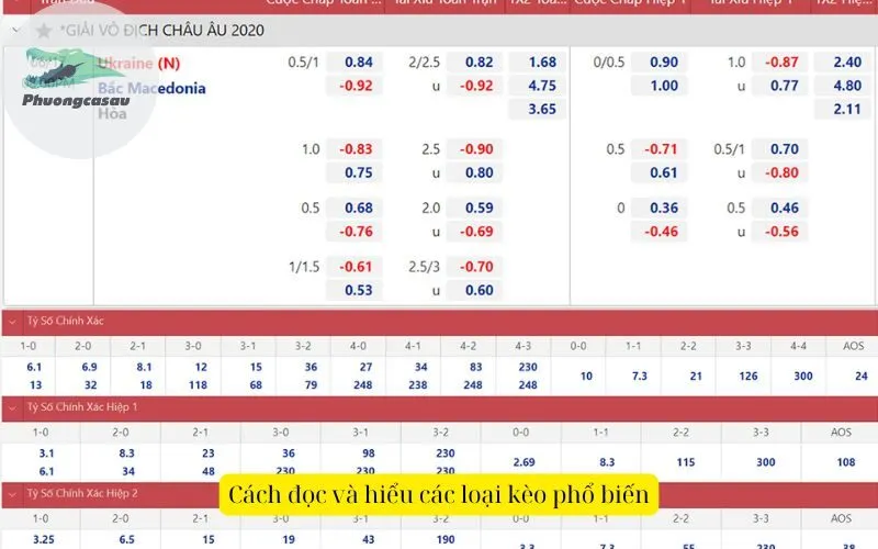 Cách đọc và hiểu các loại kèo phổ biến