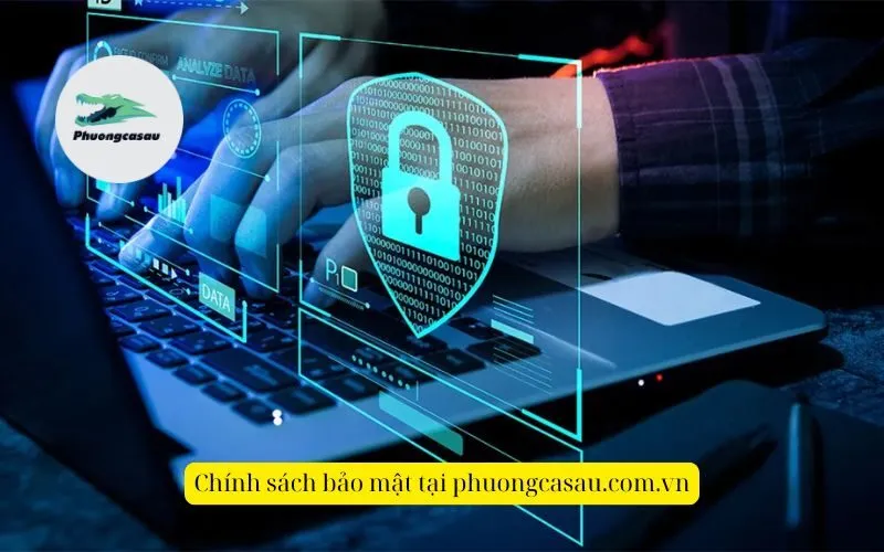 Chính sách bảo mật tại phuongcasau.com.vn