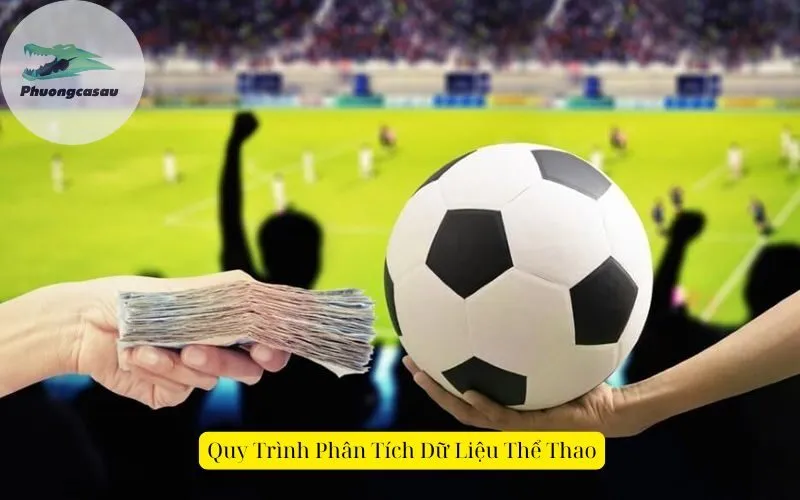 Quy Trình Phân Tích Dữ Liệu Thể Thao