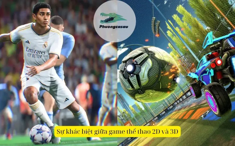 Sự khác biệt giữa game thể thao 2D và 3D