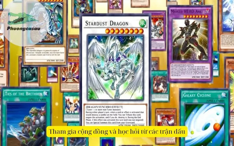 Tham gia cộng đồng và học hỏi từ các trận đấu