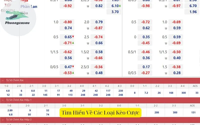 Tìm Hiểu Về Các Loại Kèo Cược