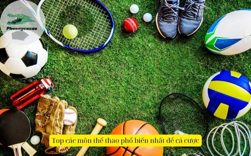 Top các môn thể thao phổ biến nhất để cá cược