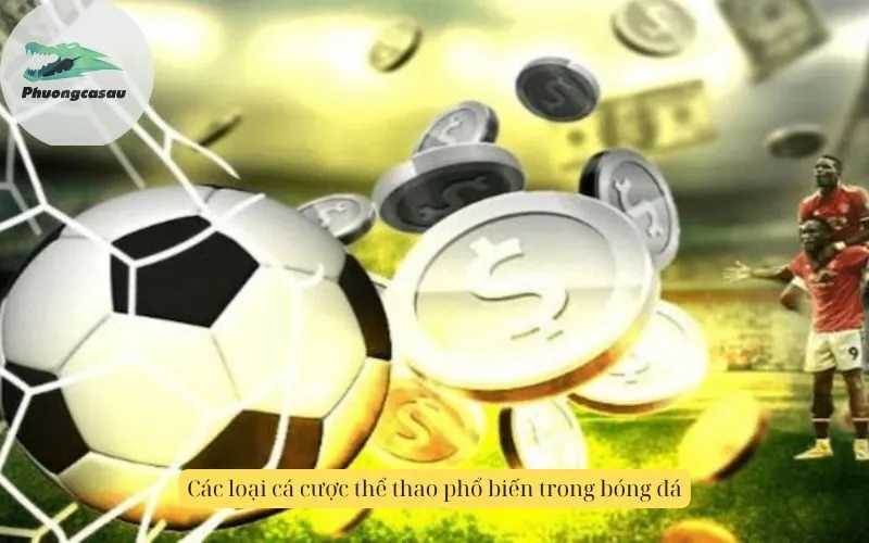 Các loại cá cược thể thao phổ biến trong bóng đá