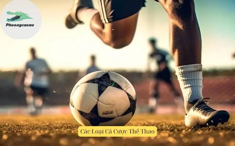 Các Loại Cá Cược Thể Thao