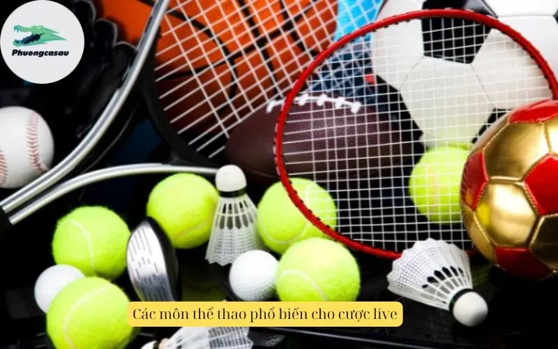 Các môn thể thao phổ biến cho cược live