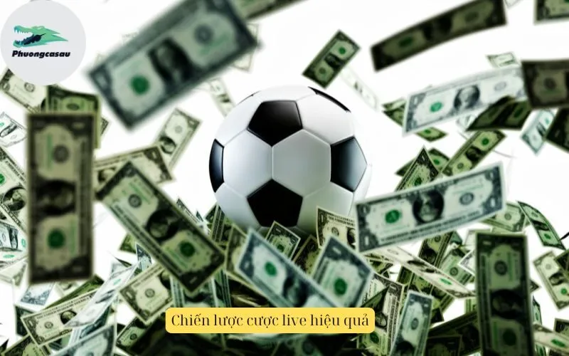 Chiến lược cược live hiệu quả