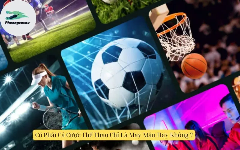 Có Phải Cá Cược Thể Thao Chỉ Là May Mắn Hay Không ?