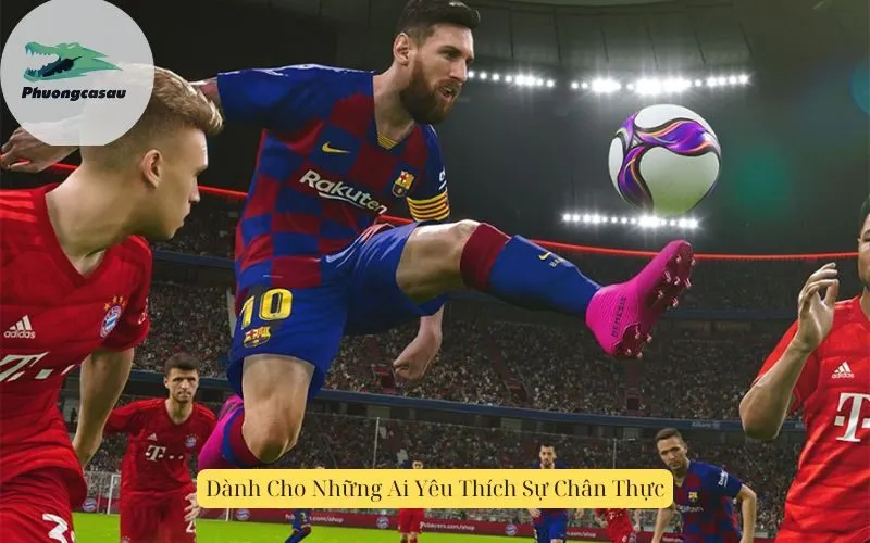 Dành Cho Những Ai Yêu Thích Sự Chân Thực