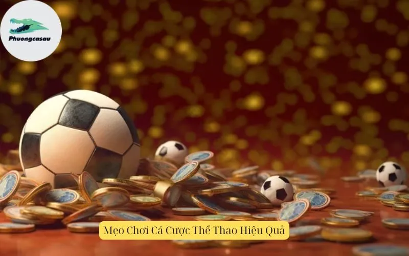 Mẹo Chơi Cá Cược Thể Thao Hiệu Quả