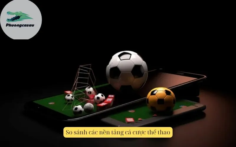 So sánh các nền tảng cá cược thể thao