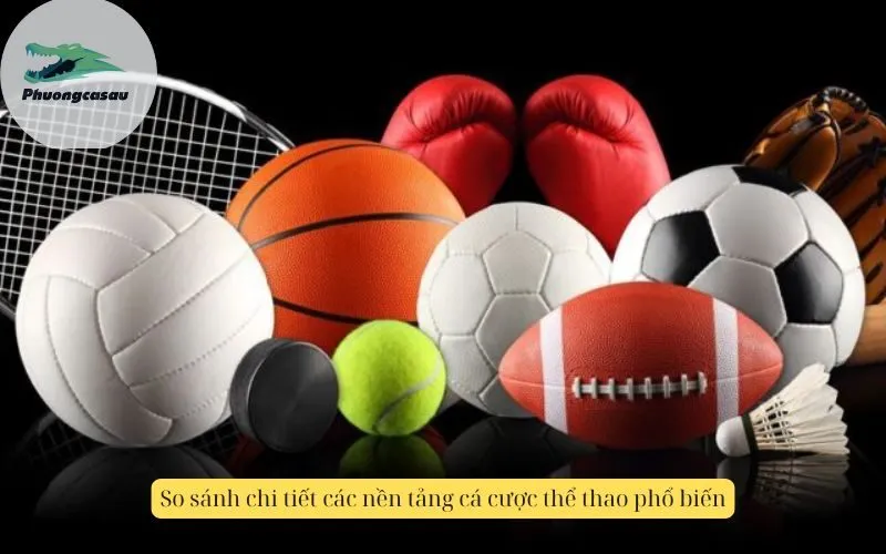 So sánh chi tiết các nền tảng cá cược thể thao phổ biến