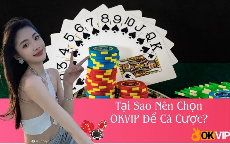 Tại Sao Nên Chọn OKVIP Để Cá Cược?