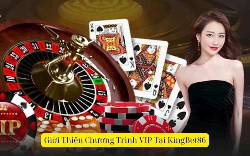 Tổng Quan Về Chương Trình VIP