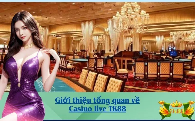 Giới thiệu tổng quan về Casino live TK88