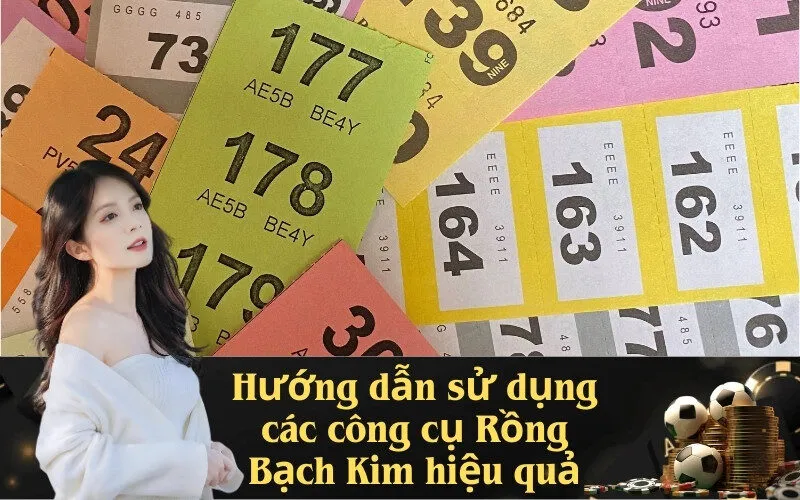 Hướng dẫn sử dụng các công cụ Rồng Bạch Kim hiệu quả
