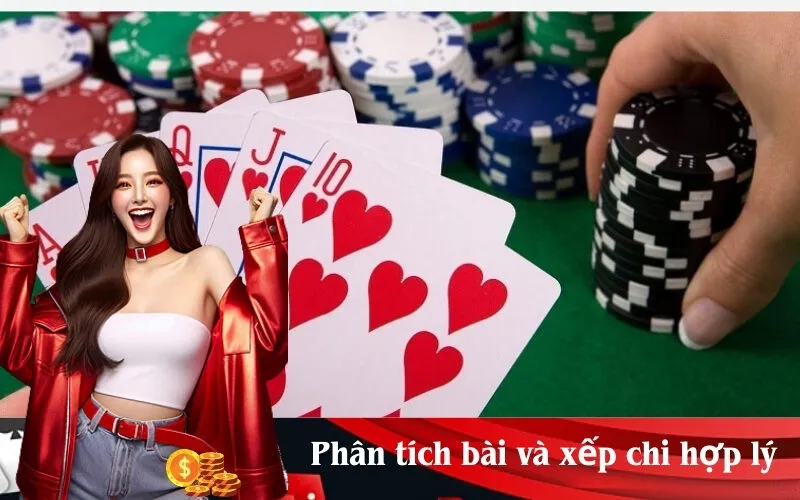 Phân tích bài và xếp chi hợp lý