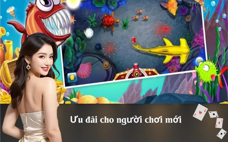 Ưu đãi cho người chơi mới