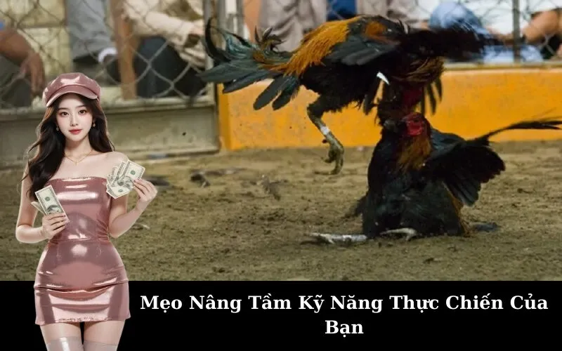 Mẹo Nâng Tầm Kỹ Năng Thực Chiến Của Bạn