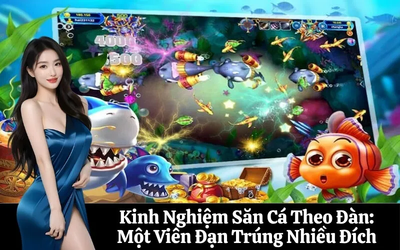 Kinh Nghiệm Săn Cá Theo Đàn: Một Viên Đạn Trúng Nhiều Đích